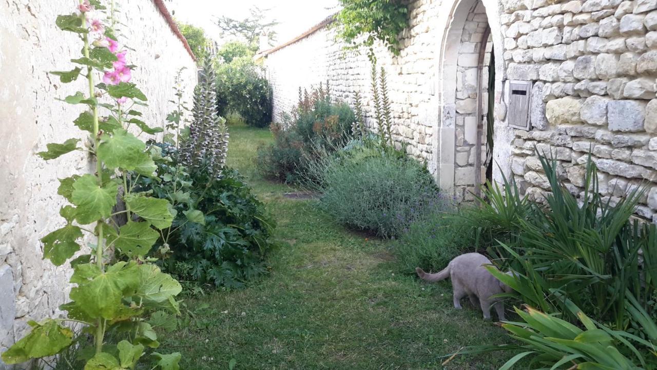 Bed and Breakfast Les Jardins De Clerjotte Saint-Martin-de-Ré Exteriér fotografie